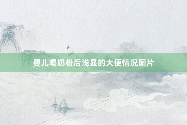 婴儿喝奶粉后浅显的大便情况图片